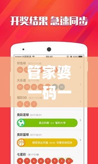 管家婆一码一肖100中奖,最佳精选解释定义_进阶款10.229