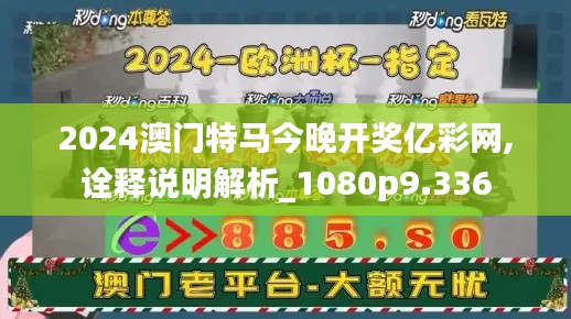 2024澳门特马今晚开奖亿彩网,诠释说明解析_1080p9.336