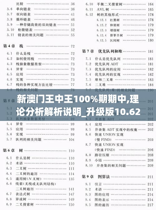 新澳门王中王100%期期中,理论分析解析说明_升级版10.622