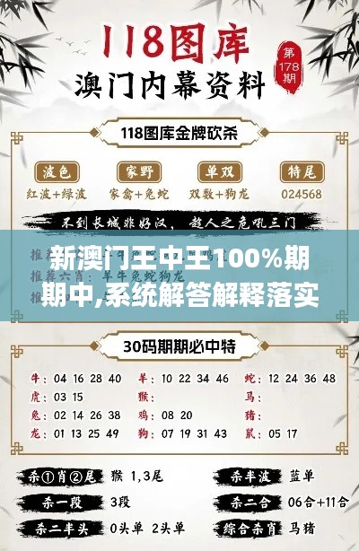 新澳门王中王100%期期中,系统解答解释落实_至尊版2.409