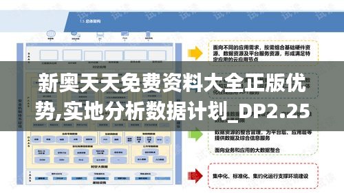 新奥天天免费资料大全正版优势,实地分析数据计划_DP2.250