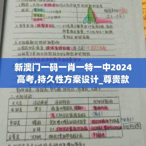 新澳门一码一肖一特一中2024高考,持久性方案设计_尊贵款10.120