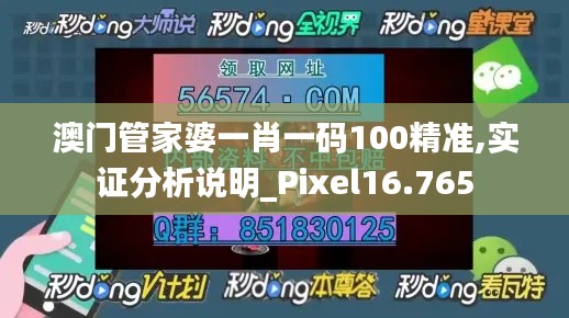 澳门管家婆一肖一码100精准,实证分析说明_Pixel16.765