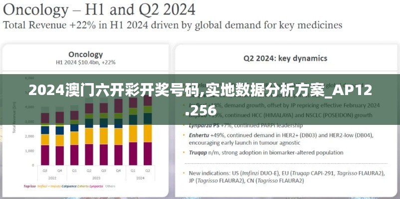 2024澳门六开彩开奖号码,实地数据分析方案_AP12.256