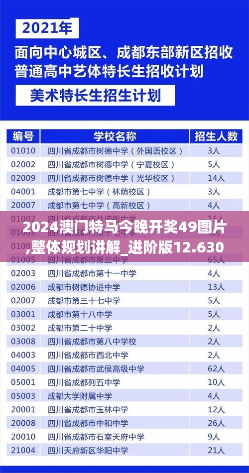 2024澳门特马今晚开奖49图片,整体规划讲解_进阶版12.630