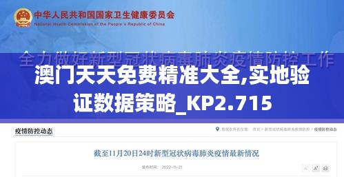 澳门天天免费精准大全,实地验证数据策略_KP2.715