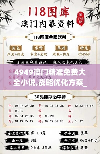 4949澳门精准免费大全小说,战略优化方案_精装款3.244