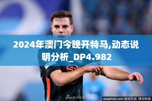 2024年澳门今晚开特马,动态说明分析_DP4.982