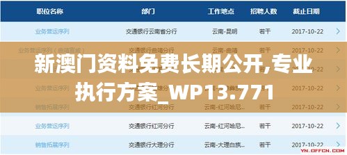 新澳门资料免费长期公开,专业执行方案_WP13.771