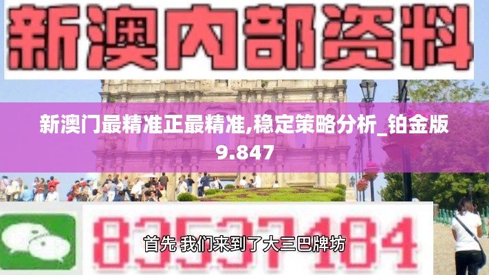 新澳门最精准正最精准,稳定策略分析_铂金版9.847