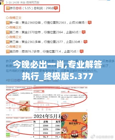 今晚必出一肖,专业解答执行_终极版5.377