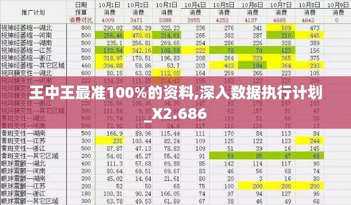 王中王最准100%的资料,深入数据执行计划_X2.686