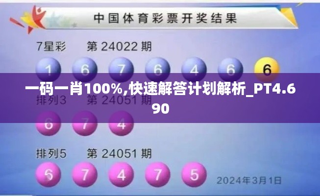 一码一肖100%,快速解答计划解析_PT4.690