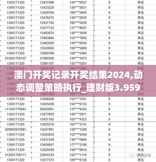 澳门开奖记录开奖结果2024,动态调整策略执行_理财版3.959