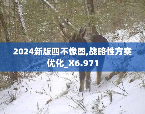 2024新版四不像图,战略性方案优化_X6.971