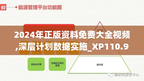 2024年正版资料免费大全视频,深层计划数据实施_XP110.902