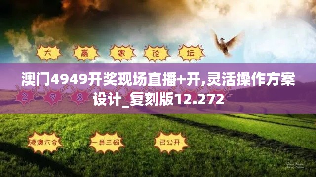 澳门4949开奖现场直播+开,灵活操作方案设计_复刻版12.272