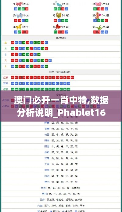 澳门必开一肖中特,数据分析说明_Phablet16.229