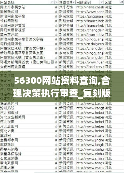 56300网站资料查询,合理决策执行审查_复刻版1.830