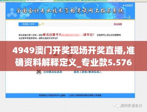 4949澳门开奖现场开奖直播,准确资料解释定义_专业款5.576