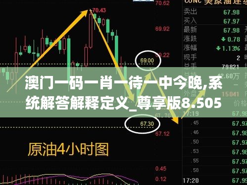 澳门一码一肖一待一中今晚,系统解答解释定义_尊享版8.505