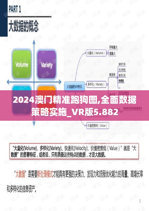 2024澳门精准跑狗图,全面数据策略实施_VR版5.882