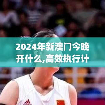 2024年新澳门今晚开什么,高效执行计划设计_高级款3.788