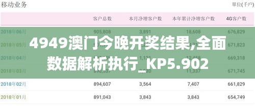 4949澳门今晚开奖结果,全面数据解析执行_KP5.902