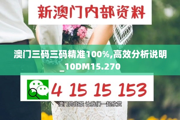 澳门三码三码精准100%,高效分析说明_10DM15.270