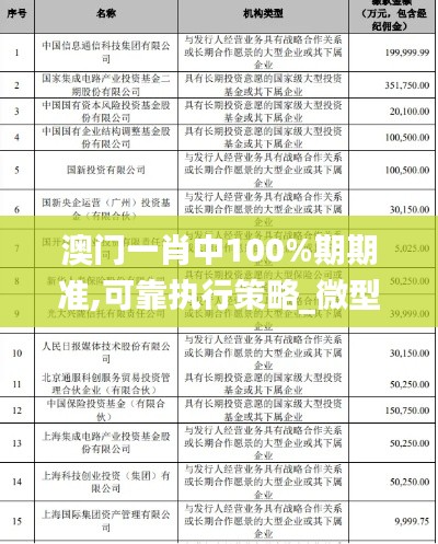 澳门一肖中100%期期准,可靠执行策略_微型版9.462