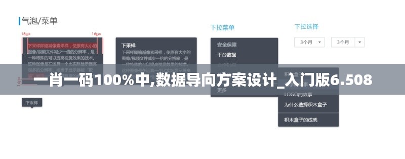 一肖一码100%中,数据导向方案设计_入门版6.508