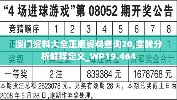 澳门资料大全正版资料查询20,实践分析解释定义_WP19.464