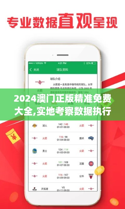 2024澳门正版精准免费大全,实地考察数据执行_vShop7.931