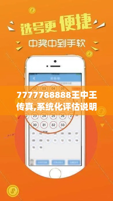 7777788888王中王传真,系统化评估说明_精简版8.158