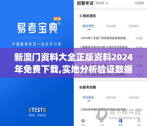 新澳门资料大全正版资料2024年免费下载,实地分析验证数据_移动版16.689