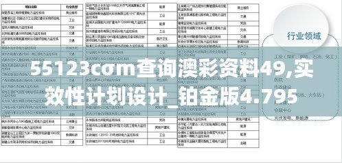 55123cσm查询澳彩资料49,实效性计划设计_铂金版4.795