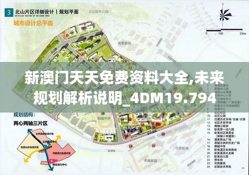 新澳门天天免费资料大全,未来规划解析说明_4DM19.794