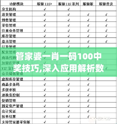 管家婆一肖一码100中奖技巧,深入应用解析数据_pack13.245