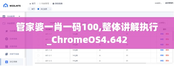 管家婆一肖一码100,整体讲解执行_ChromeOS4.642