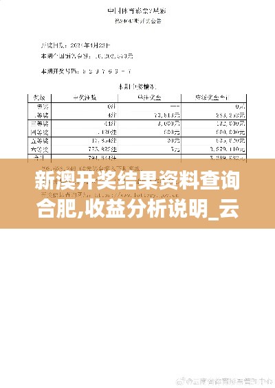 新澳开奖结果资料查询合肥,收益分析说明_云端版7.215