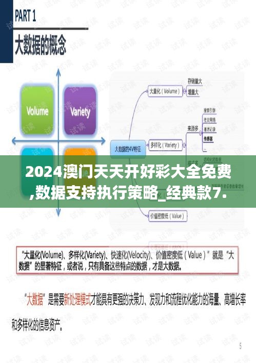 2024澳门天天开好彩大全免费,数据支持执行策略_经典款7.848