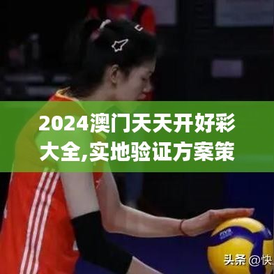 2024澳门天天开好彩大全,实地验证方案策略_3K8.279