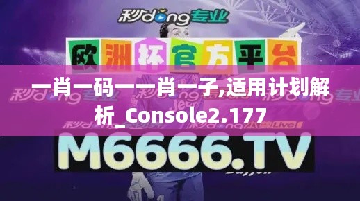 一肖一码一一肖一子,适用计划解析_Console2.177