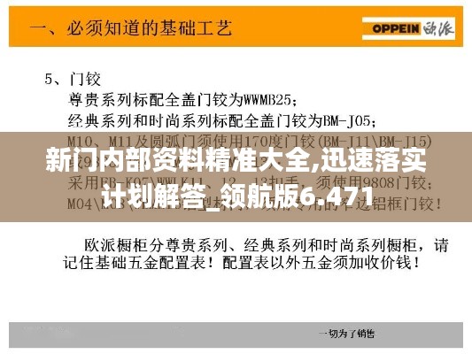 新门内部资料精准大全,迅速落实计划解答_领航版6.471