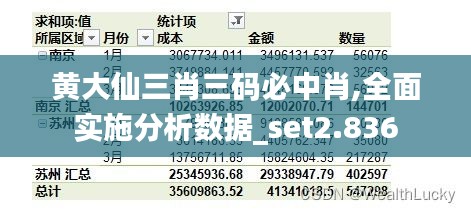 黄大仙三肖三码必中肖,全面实施分析数据_set2.836