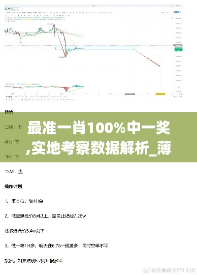 最准一肖100%中一奖,实地考察数据解析_薄荷版2.484