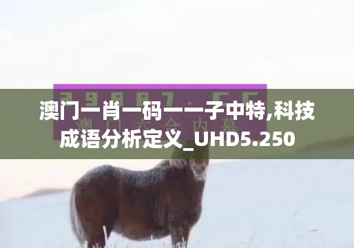 澳门一肖一码一一子中特,科技成语分析定义_UHD5.250