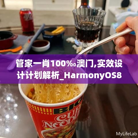 管家一肖100‰澳门,实效设计计划解析_HarmonyOS8.720