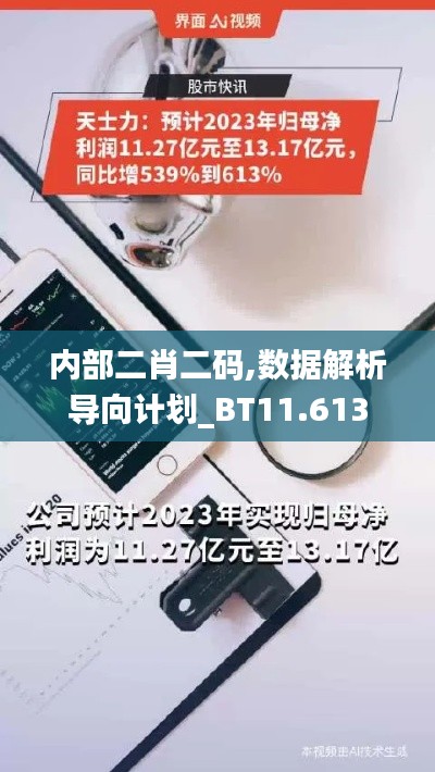 内部二肖二码,数据解析导向计划_BT11.613