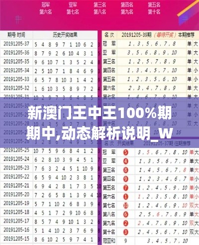 新澳门王中王100%期期中,动态解析说明_Windows8.491